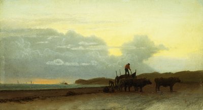 Coastal View, Newport, 1861 od Albert Bierstadt