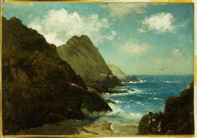 Farallonské ostrovy od Albert Bierstadt