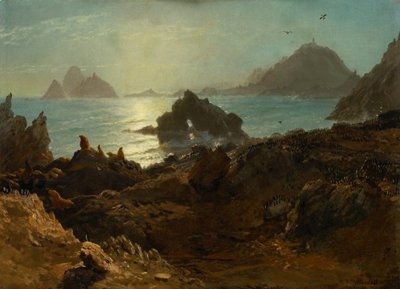 Farallonské ostrovy, Tichý oceán, Kalifornie od Albert Bierstadt
