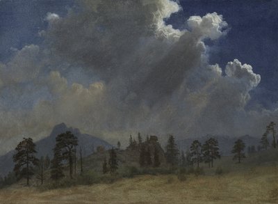 Jedle a bouřkové mraky od Albert Bierstadt