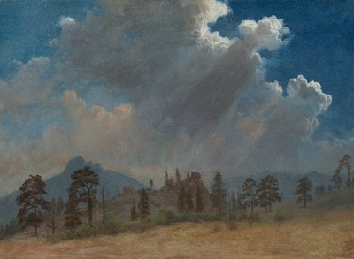 Jedle a bouřkové mraky, c. 1870. od Albert Bierstadt