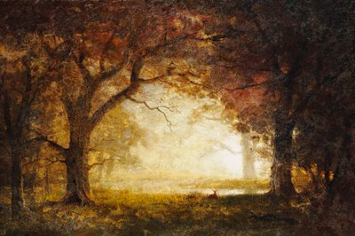 Lesní východ slunce od Albert Bierstadt