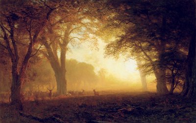 Zlaté světlo Kalifornie od Albert Bierstadt
