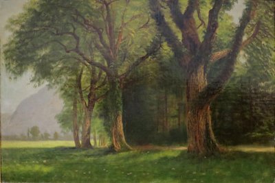V údolí Yosemitů od Albert Bierstadt