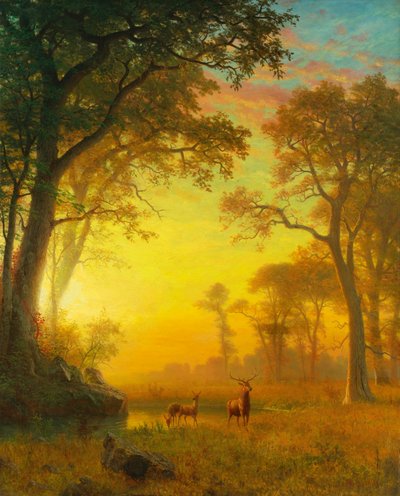 Světlo v lese od Albert Bierstadt