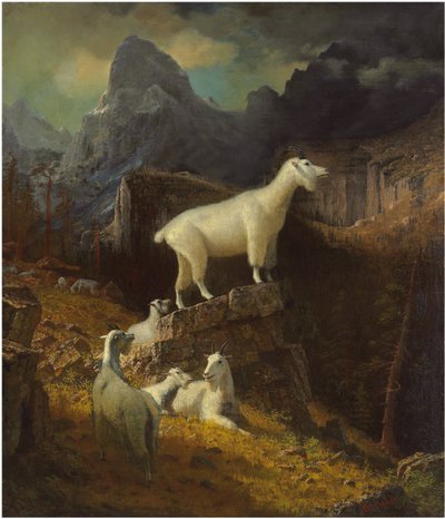 Rocky Mountain Goats, cca 1885 (olej na plátně) od Albert Bierstadt