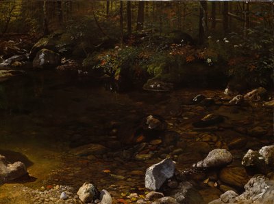 Shady Pool, White Mountains, New Hampshire, c. 1869. od Albert Bierstadt