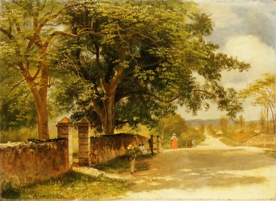 Ulice v Nassau, c.1878 od Albert Bierstadt