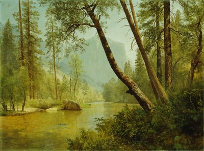 Sluncem zalitý les od Albert Bierstadt