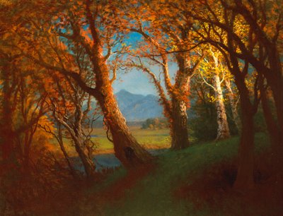 Západ slunce na území Nebrasky od Albert Bierstadt