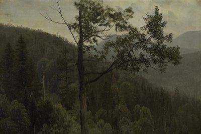 Hory pokryté stromy od Albert Bierstadt