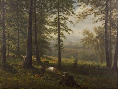 Pohled na mýtinu od Albert Bierstadt