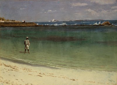 Scéna z pobřeží Západní Indie, cca 1880-93 (olej na papíře na dřevovláknité desce) od Albert Bierstadt