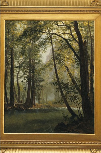 Údolí Yosemite, Kalifornie od Albert Bierstadt