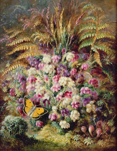 Bell Heather, 1877 od Albert Durer Lucas