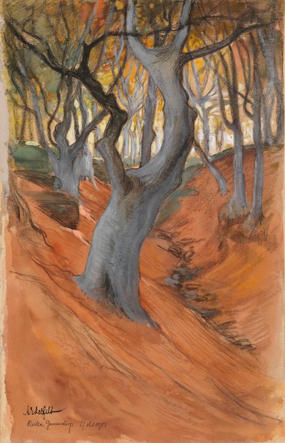 Bukový les od Albert Edelfelt