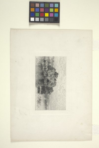 Krajina s jezerem (inkoust) od Albert Fitch Bellows