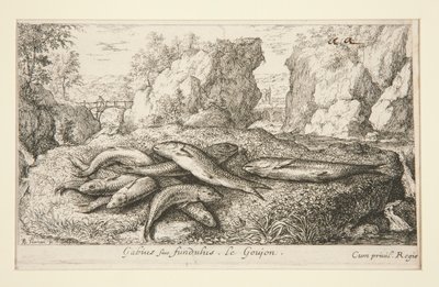 Gabius nebo Fundus. Le Goujon od Albert Flamen