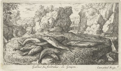 Gobies na břehu řeky Gabius siue fundulus. Le Goujon. (název na objektu) Ryby a další mořští tvorové - sladkovodní druhá série (název série) Seconde partie de Poissons d