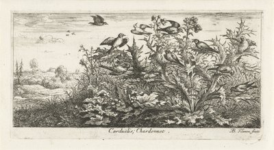 Krajina se stehlíkem v bodláku Carduelis; Chardonneret. (název na objektu) Ptačí kniha (název série) Livre d