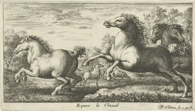 Koně Equus le Cheval (název na objektu) Různé druhy zvířat (název série) od Albert Flamen