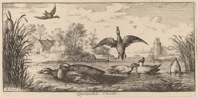 Querpedula, Teal od Albert Flamen