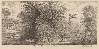 Rusticula minor, The Snipe od Albert Flamen