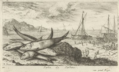 Sardinky na pláži Sarda, La Sardine. (název na objektu) Ryby a další mořští tvorové - slaná voda první série (název série) Diverse Especes de Poissons de mer (název série) od Albert Flamen