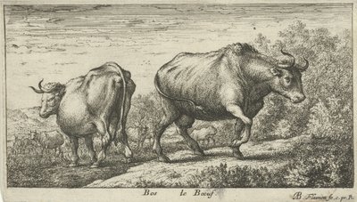 býci Bos le Boeuf (název na objektu) Různé druhy zvířat (název série) od Albert Flamen