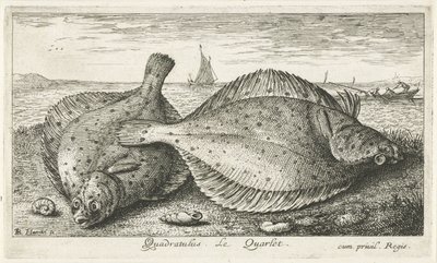 Dva platýs na pláži Quadratulus. LeQuarlet. (název na objektu) Ryby a další mořští tvorové - slaná voda třetí série (název série) Poissons de mer (název série) od Albert Flamen