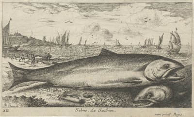 Dva lososi na pláži Salmo. Le Saulmon (název na objektu) Ryby a další mořští tvorové - slaná voda první série (název série) Diverse Especes de Poissons de mer (název série) od Albert Flamen