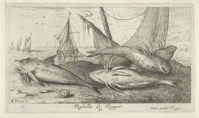 Čtyři parmice na pláži Rubellio Le Rouget. (název na objektu) Ryby a další mořští tvorové - slaná voda druhá série (název série) Poissons de mer (název série) od Albert Flamen