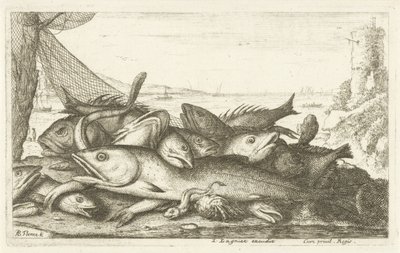 Lov kraba poustevníka Různé druhy ryb (název série) Diverse Especes De Poissons tant de Mer, que d