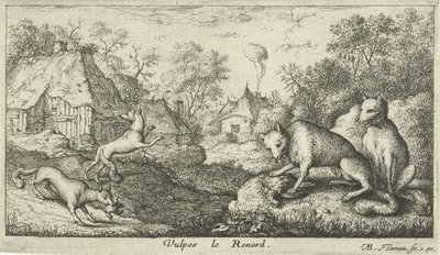 lišky Vulpes le Renard (název na objektu) Různé druhy zvířat (název série) od Albert Flamen