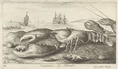 Humr na pláži Cammarus. LeHomard (název na objektu) Ryby a další mořští tvorové - slaná voda první série (název série) Diverse Especes de Poissons de mer (název série) od Albert Flamen