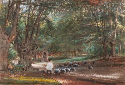 Burnham Beeches (akvarel a bodycolor) od Albert Goodwin