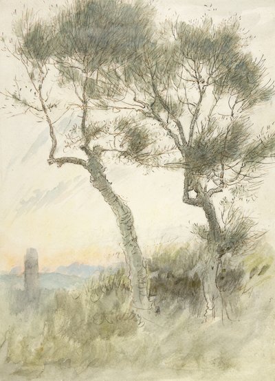 Studie dvou stromů od Albert Goodwin