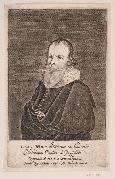 Ole Worm od Albert Haelwegh