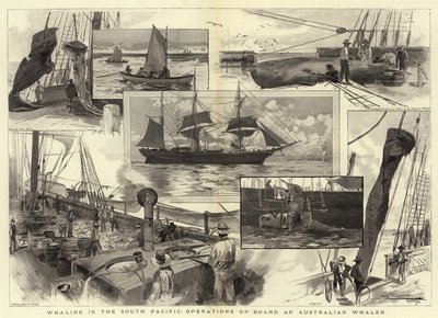 Lov velryb v jižním Pacifiku, operace na palubě australské velrybářské lodi od Albert Henry Fullwood