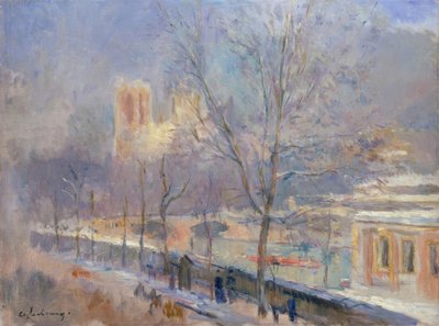 Notre-Dame de Paris při pohledu z Quai de la Tournelle, účinek n od Albert Lebourg