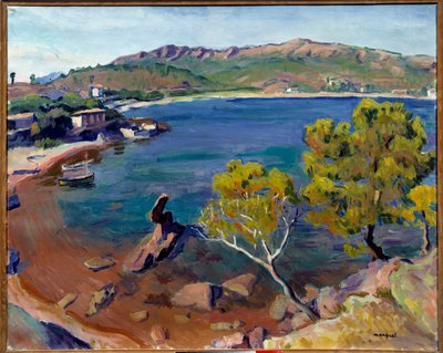 Landscape du Midi, 20. století (olej na plátně) od Albert Marquet