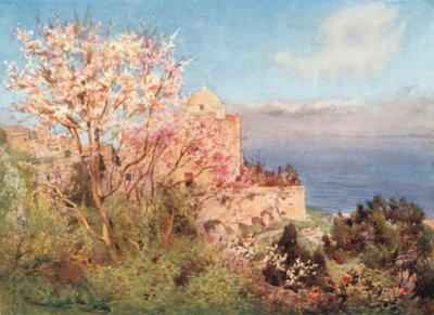 S. Giovanni Battista, Monte San Giuliano od Alberto Pisa