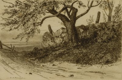 Country Road od Albion Harris Bicknell