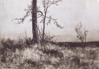 Krajina od Albion Harris Bicknell