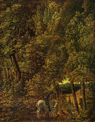 Krajina dřeva se svatým Jiřím bojujícím s drakem od Albrecht Altdorfer