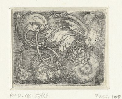Granátové jablko a listová réva od Albrecht Altdorfer
