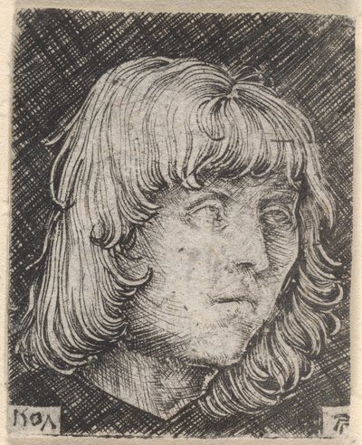 Hlava mladého muže od Albrecht Altdorfer
