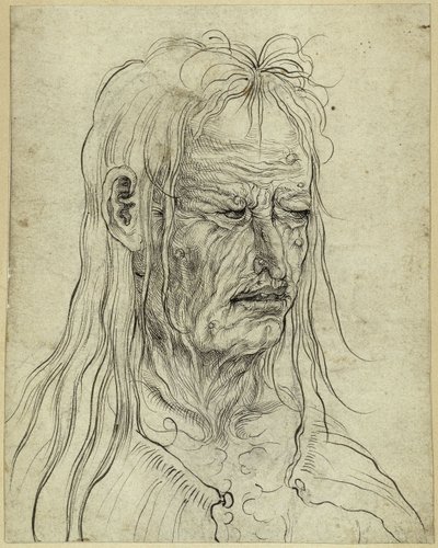Hlava ošklivé stařeny, pohled doprava od Albrecht Altdorfer