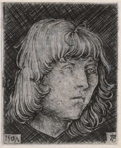 Hlava mladého muže od Albrecht Altdorfer