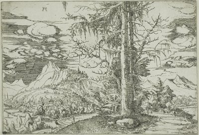 Krajina s dvojitým smrkem od Albrecht Altdorfer